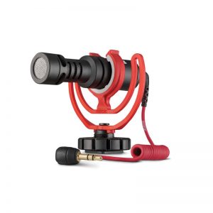 VideoMicro