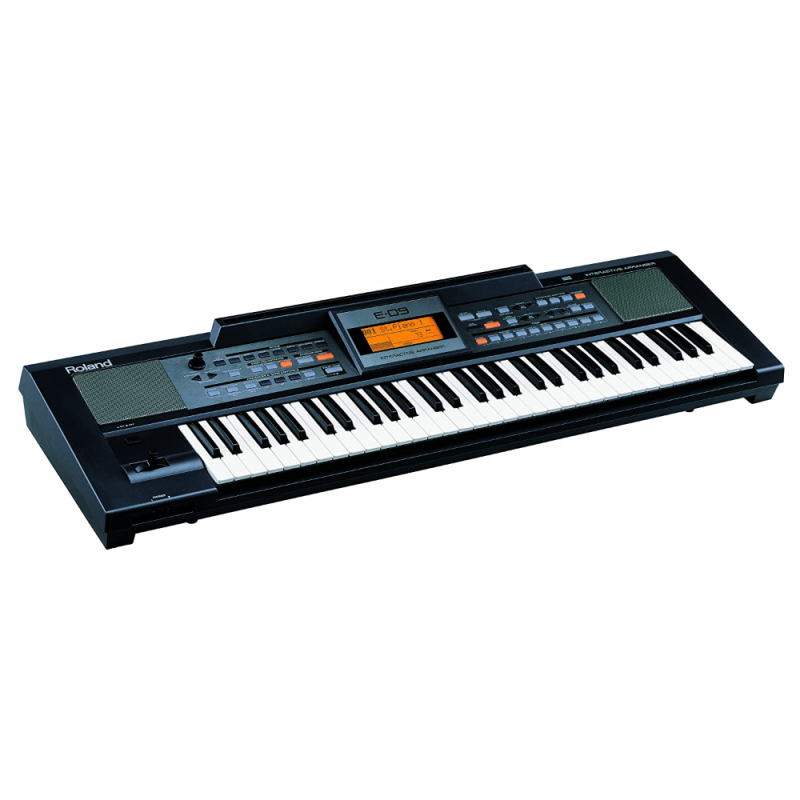 ROLAND E-X20